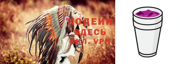 МДПВ Майский