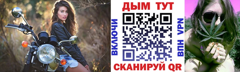 Канабис индика  darknet наркотические препараты  Шилка 
